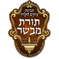 תורת מבשר